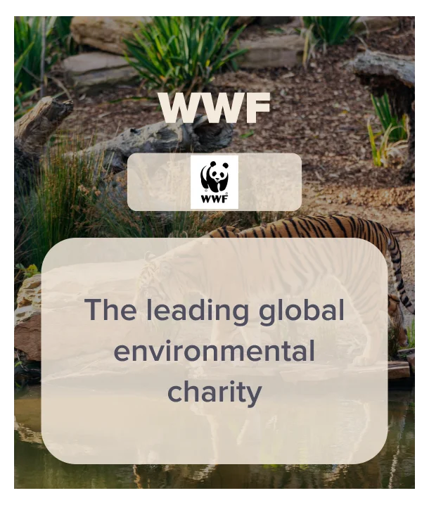The WWF