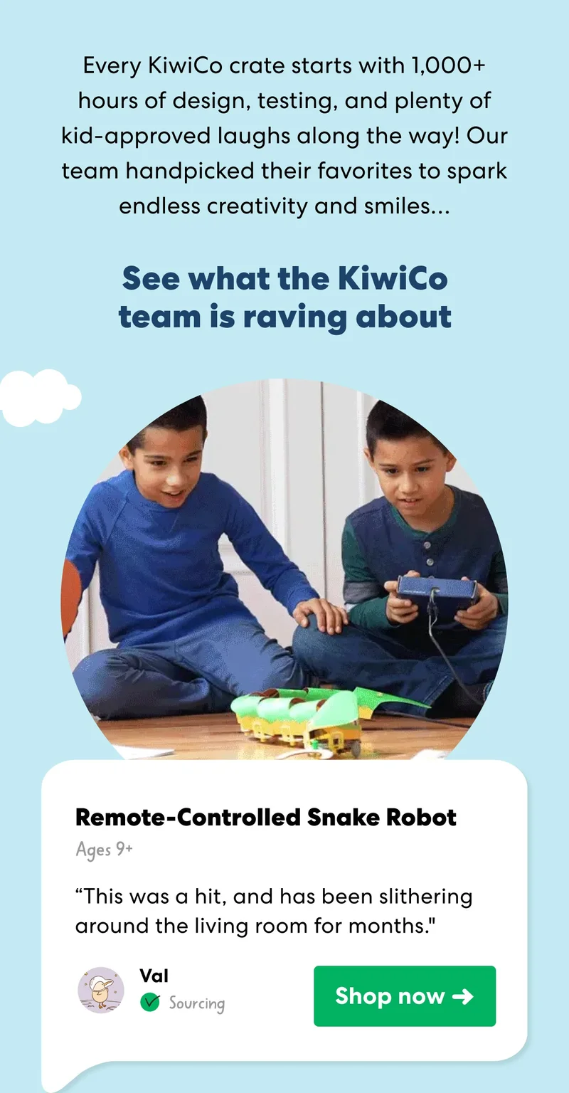 Remote-Controlled Snake Robot
