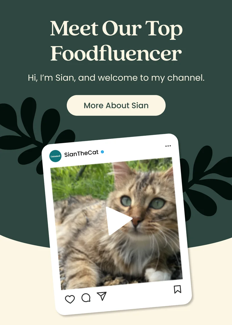 More About Sian
