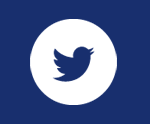 Twitter Icon in Footer