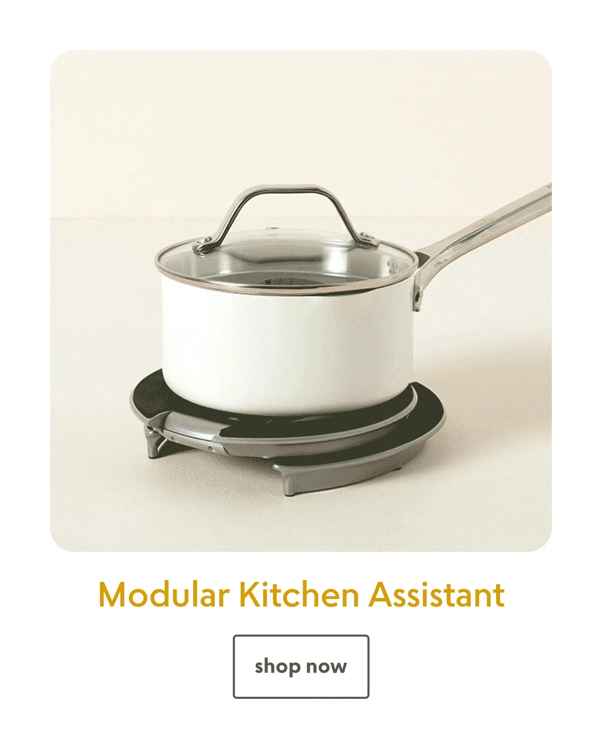 modular-kitchen-assistant