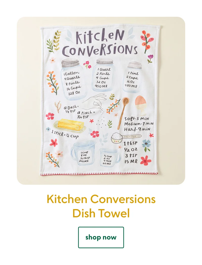 kitchen-conversions-dish-towel