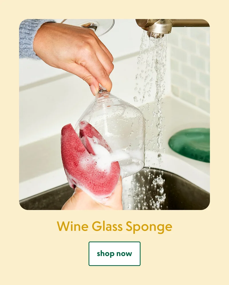 wine-glass-sponge