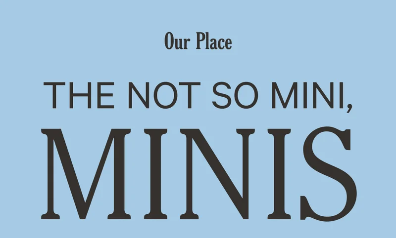 Our Place - The Not So Mini, Minis