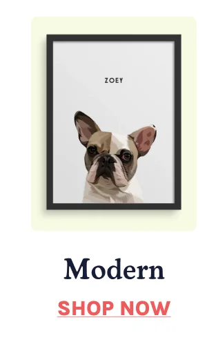 Shop Modern