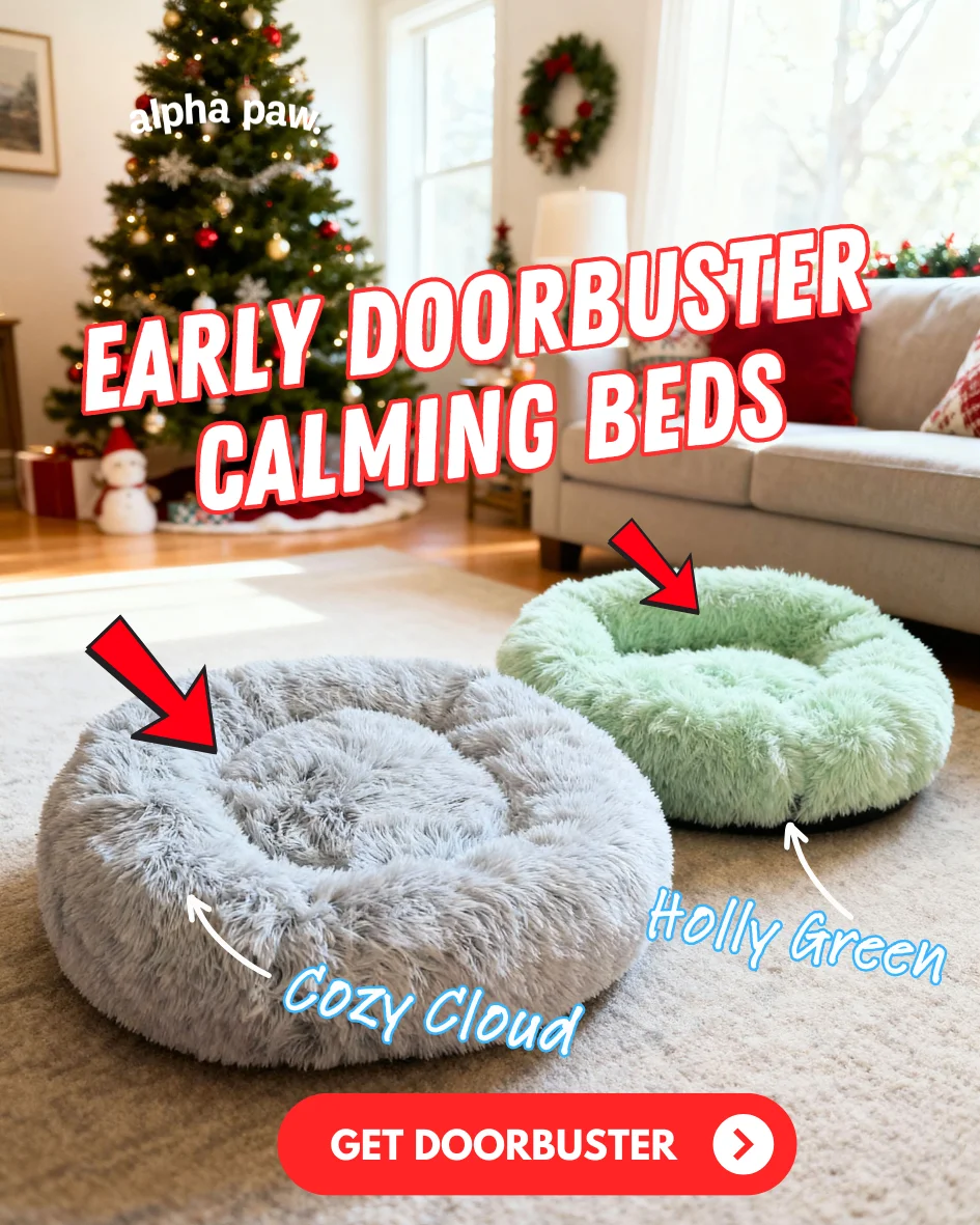 Cozy Bed