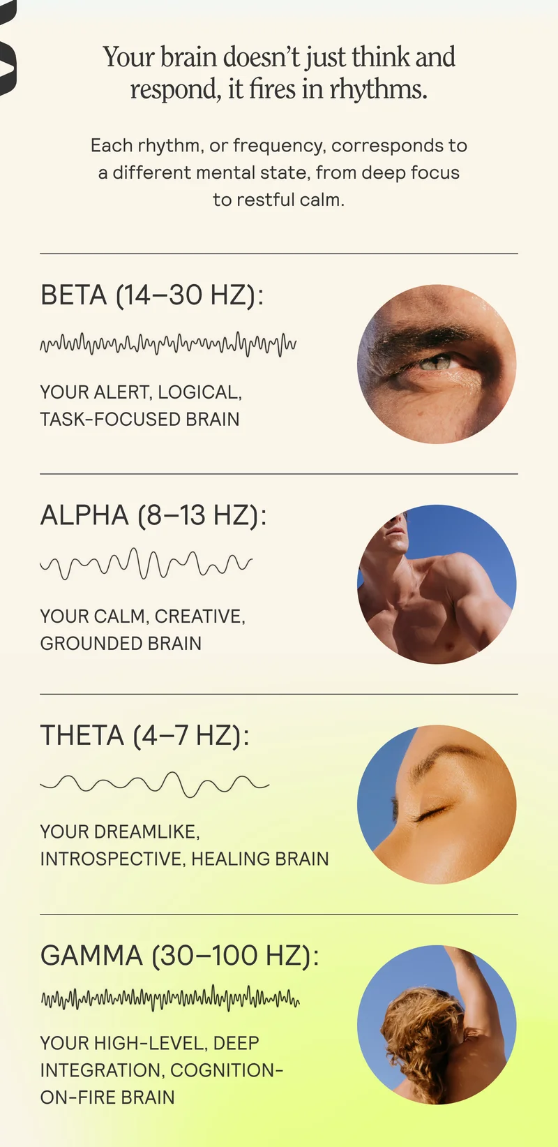 Your brain doesn't just thinkand ~~ respond, it fires in rhythms.  Each rhythm, or frequency, corresponds to  a different mental state, from deep focus to restful calm.