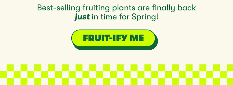 Best-selling fruiting plants are finally back just in time for Spring! Fruit-ify me