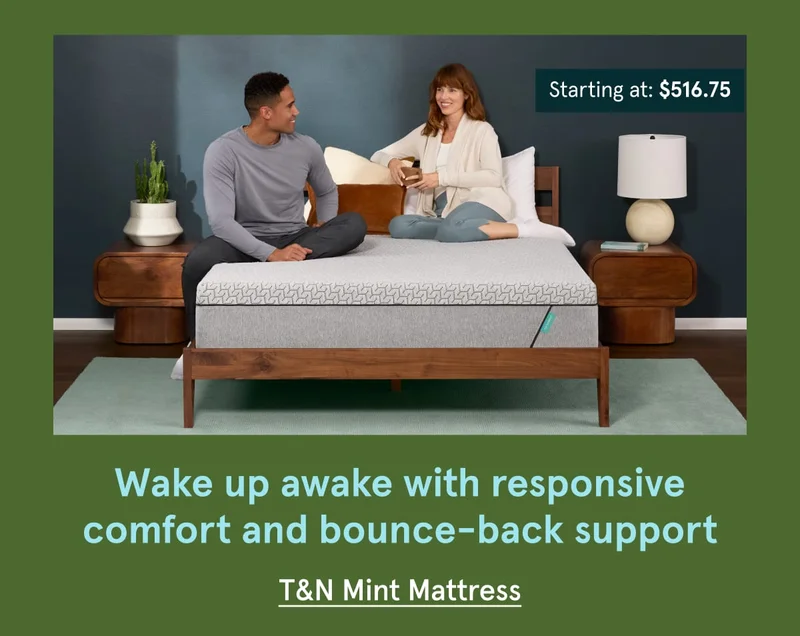 T&N Mint Mattress