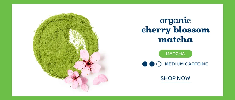 organic cherry blossom matcha