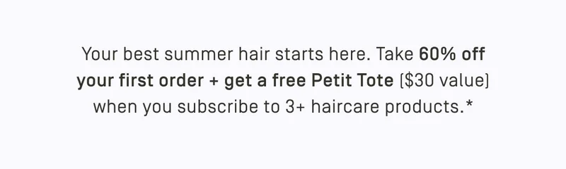 60% off + free petit tote