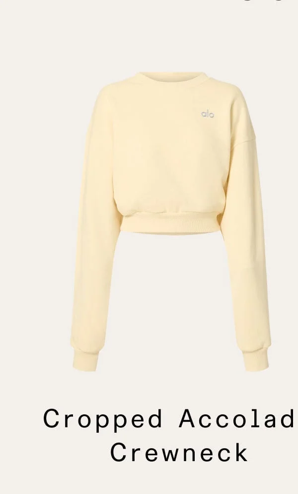 Cropped Accolade Crewneck