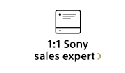 1:1 Sony sales expert