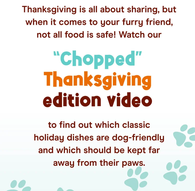 Thanksgiving is all about sharing, but when it comes to your furry friend, not all food is safe! Watch our “Chopped” Thanksgiving edition video to find out which classic holiday dishes are dog-friendly and which should be kept far away from their paws.