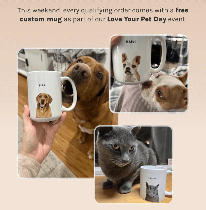 Get A Free Custom Mug