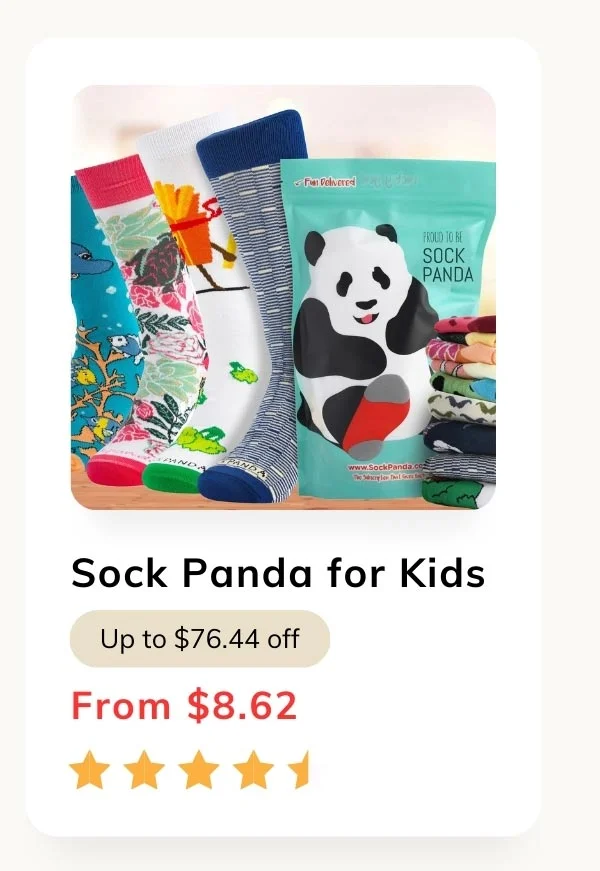 Sock Panda Kids Socks (Ages 3-7)