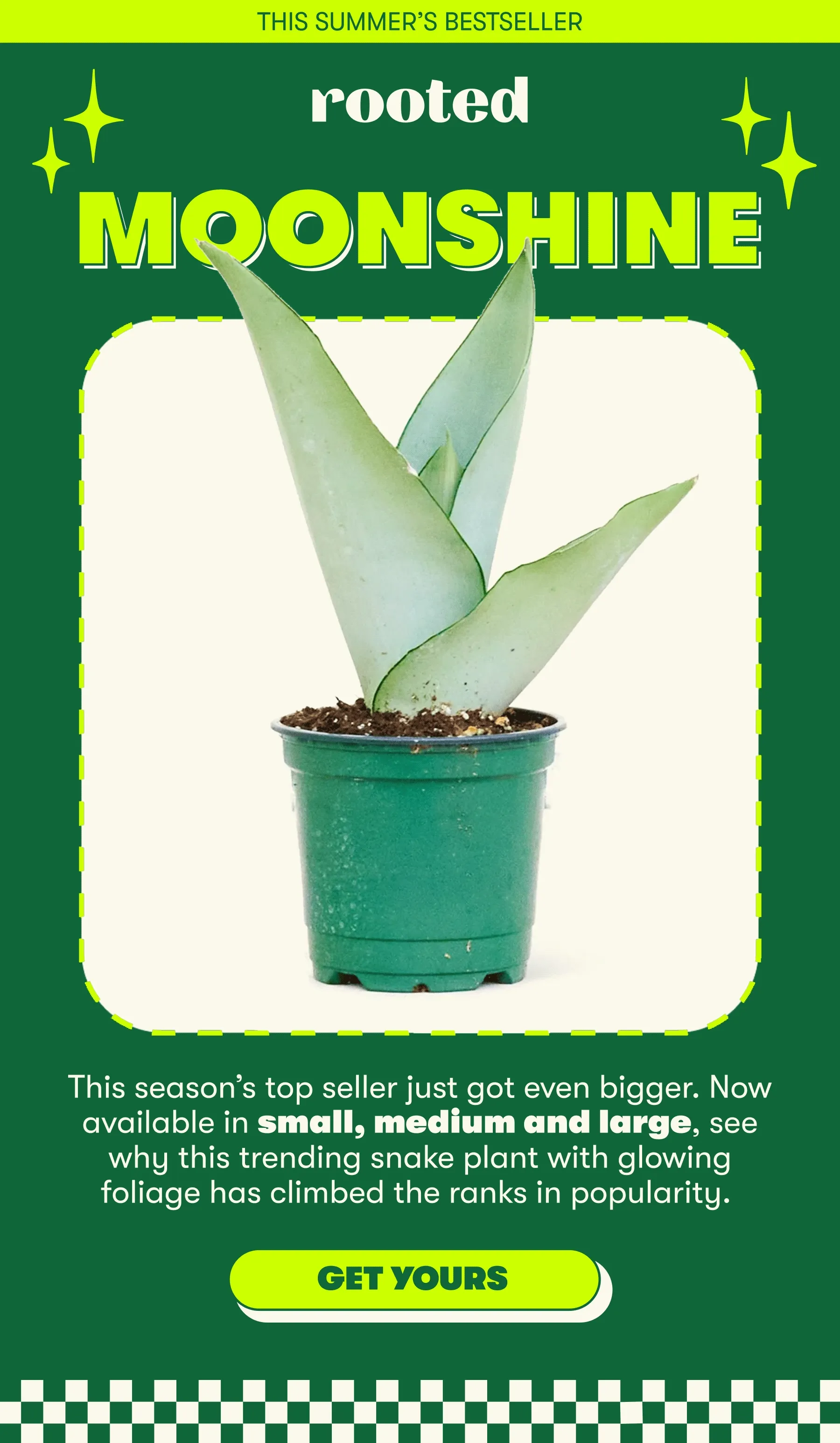 THIS SUMMER’S BESTSELLER his season’s top seller just got even bigger. Now available in small, medium and large, see why this trending snake plant with glowing foliage has climbed the ranks in popularity. [GET YOURS]