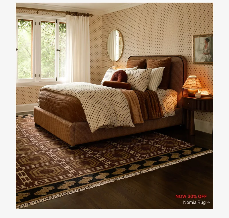 Shop Nomia Hand-Knotted Wool Rug
