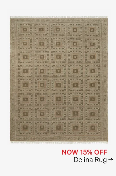 Shop Delina Rug