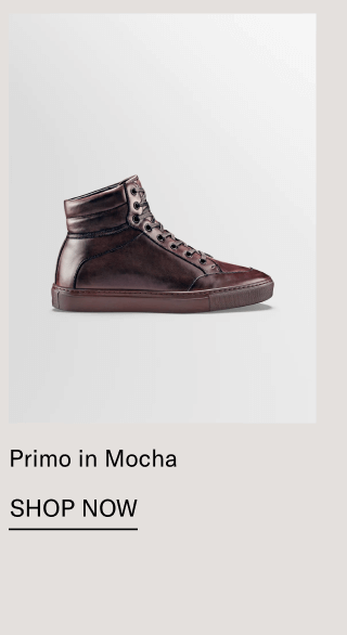 Primo in Mocha-Shop Now