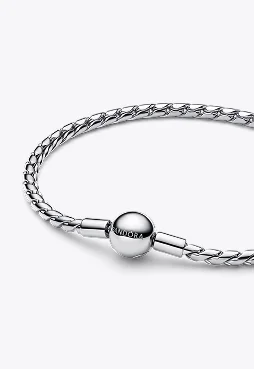 Round Clasp Wing Chain Bracelet