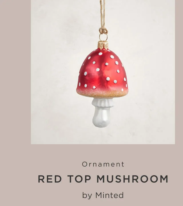 Red Top Mushroom