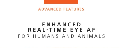 ENHANCED REAL-TIME EYE AF | FOR HUMANS AND ANIMALS