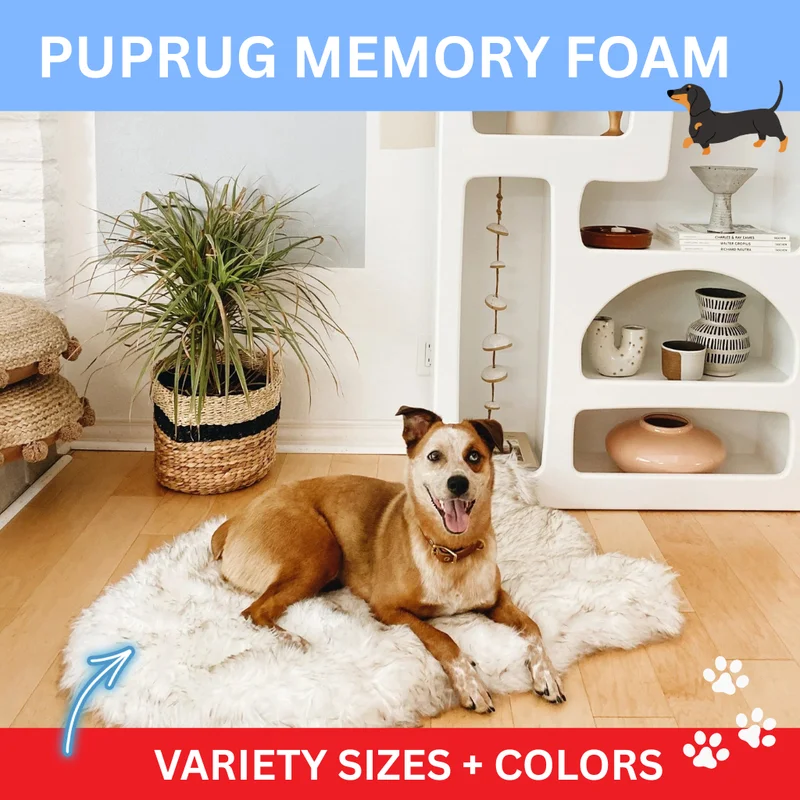 PupRug Colors
