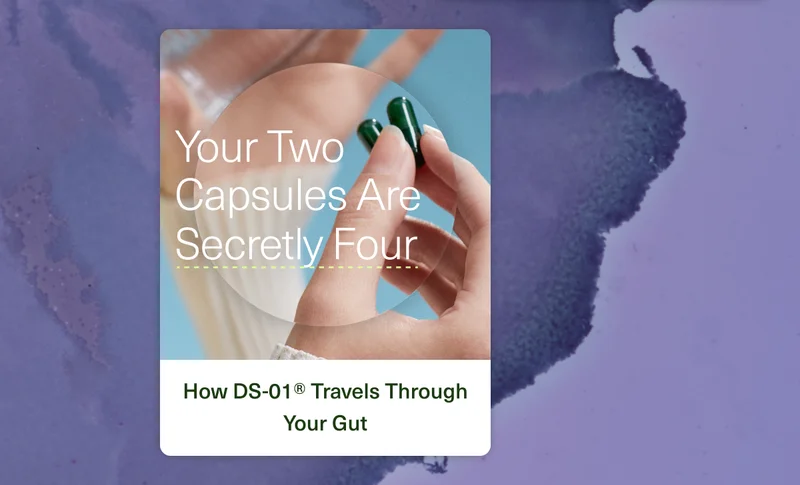 Your Two Capsules Are Secretly Four. How DS-01® Travels Through Your Gut