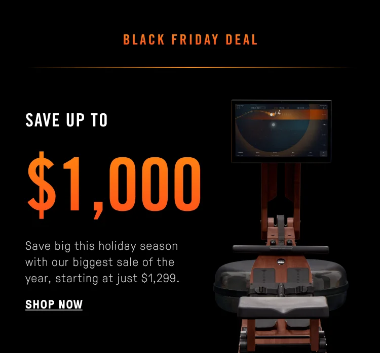 Black Friday Sale