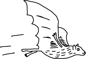 A line drawing of bat