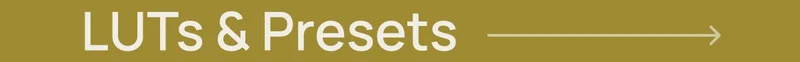 LUTs & Presets