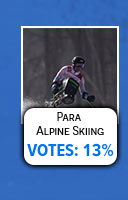 Para Alpine Ski
