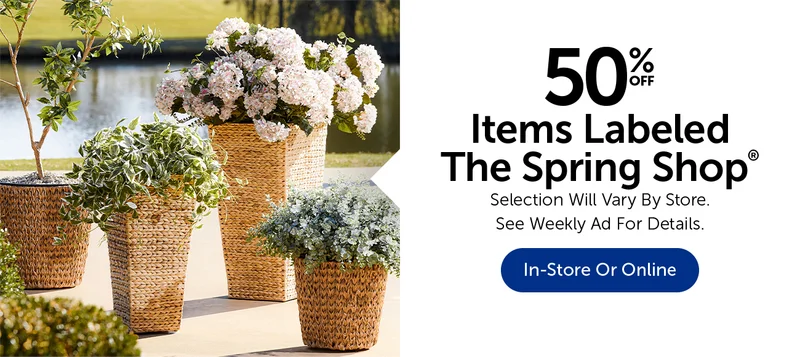 50% Off Items Labeled The Spring Shop