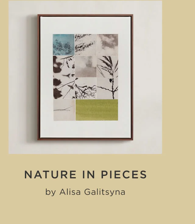 Nature In Pieces