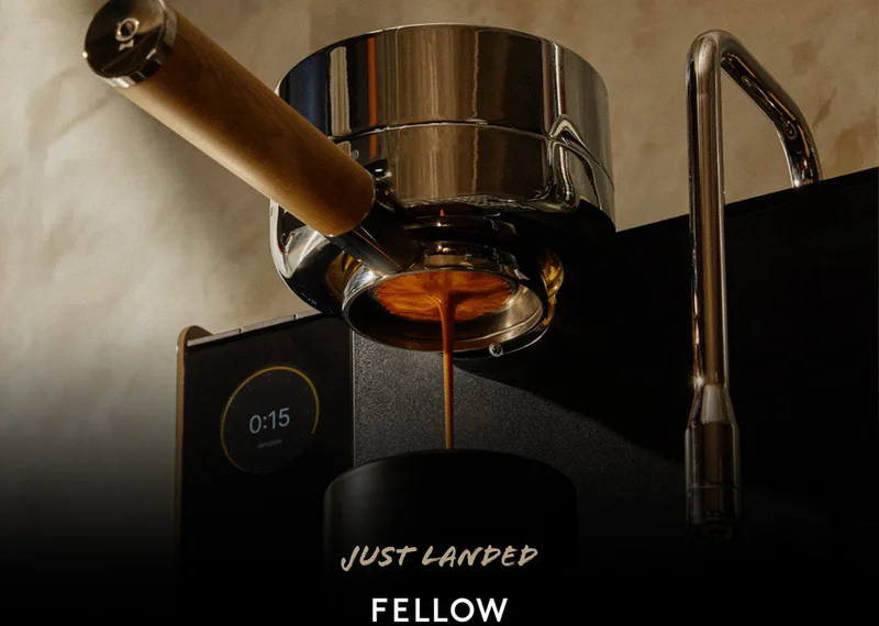 Fellow