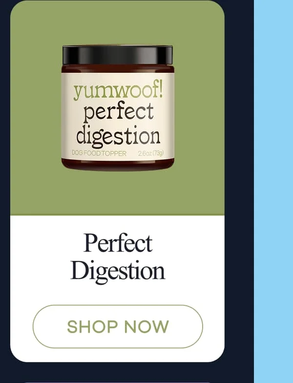 Perfect Digestion | shop now