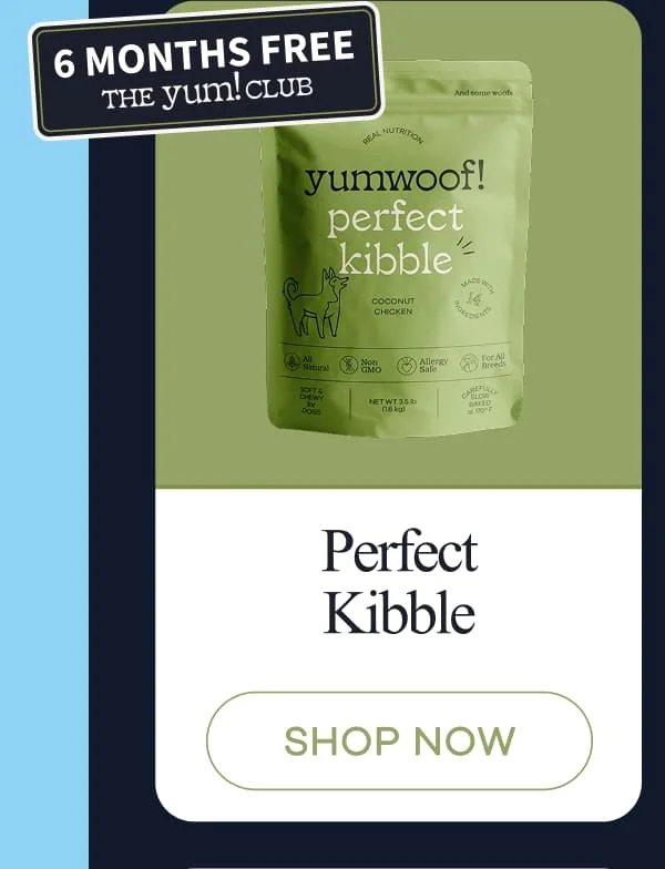 Perfect Kibble | shop now