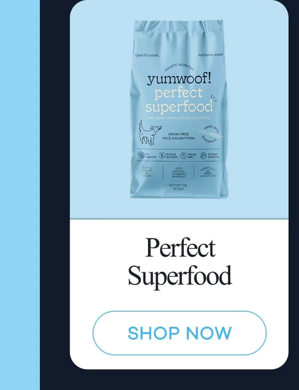 Perfect Superfood | shop now