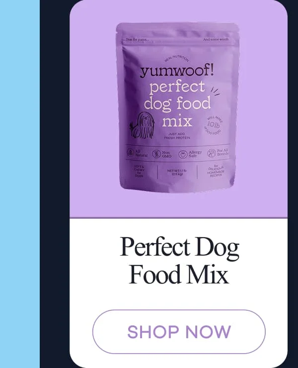Perfect Dog Food Mix | shop now