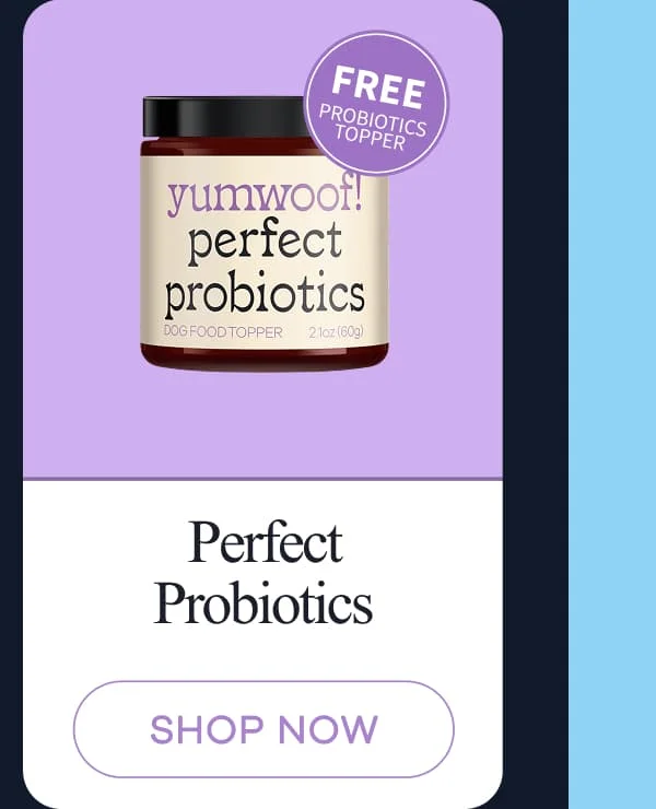 Perfect Probiotics | shop now