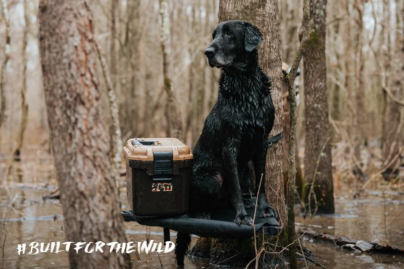 Built For The Wild