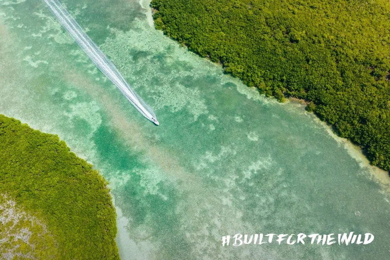 Built For The Wild