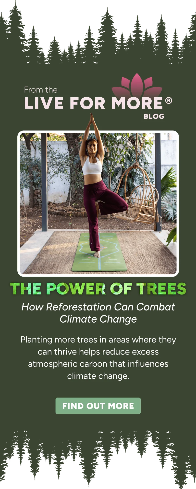 Th Power of Trees