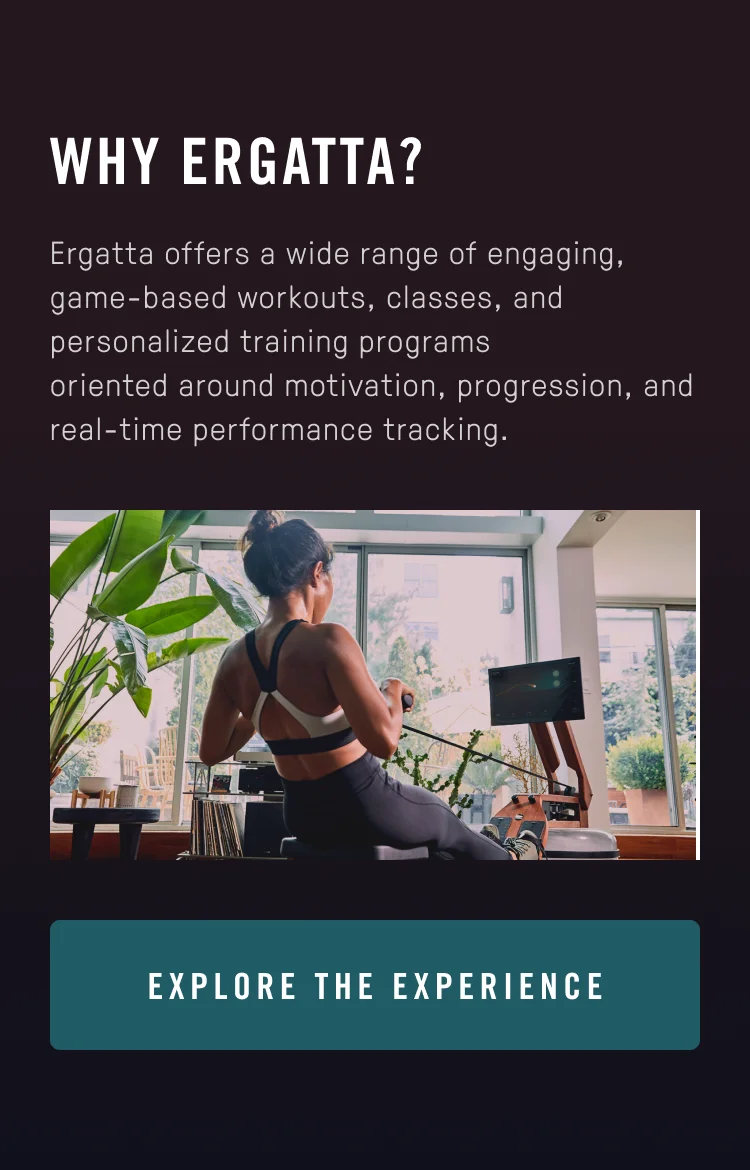 Explore the experience