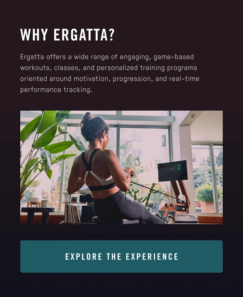 Explore the experience