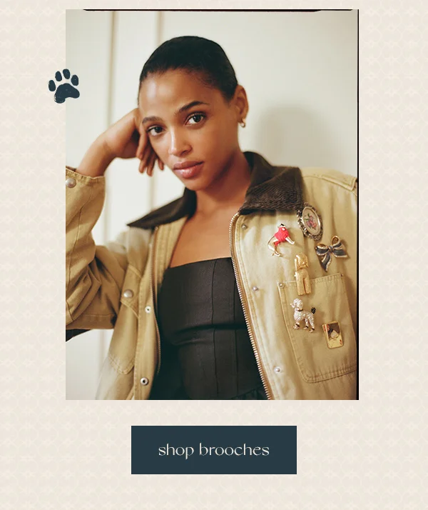 Shop brooches
