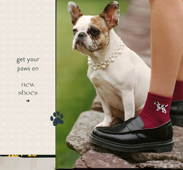 Shop shoes