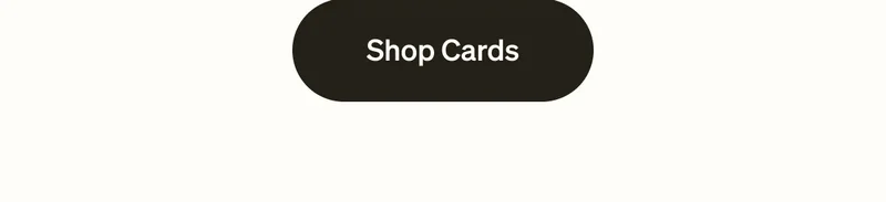 Black Friday Sale