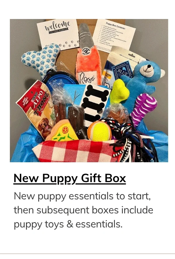 New Puppy Gift Box - Dog Box, Dog Care Package - New Dog Owner Gift